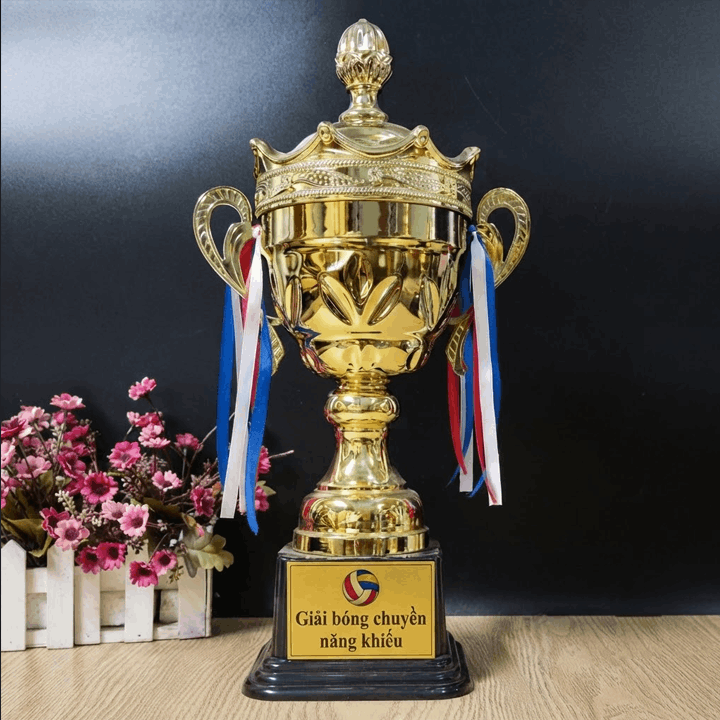 Cup Bóng Chuyền