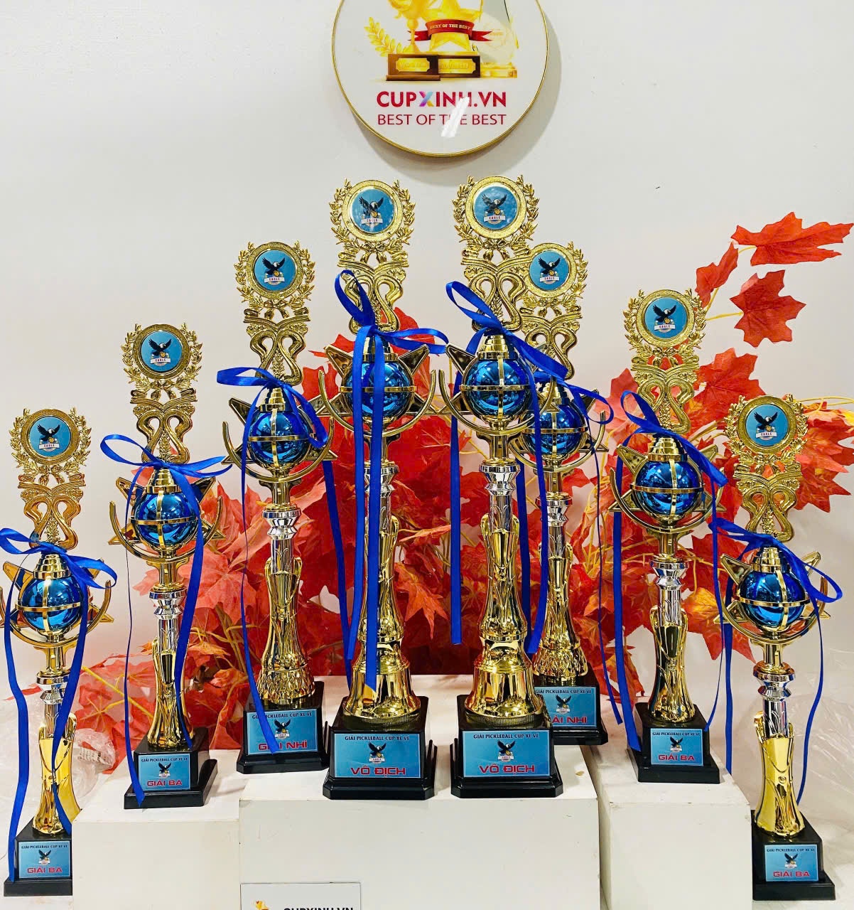 CUP PICKLEBALL NHỰA C064