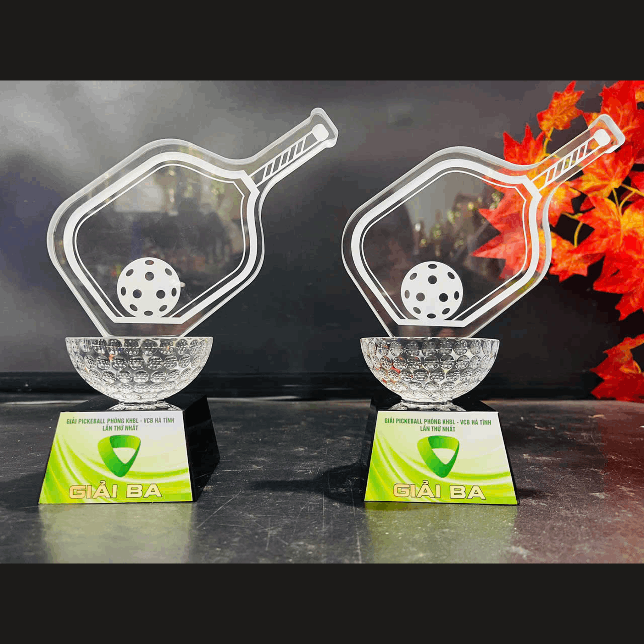 Cup Pickleball