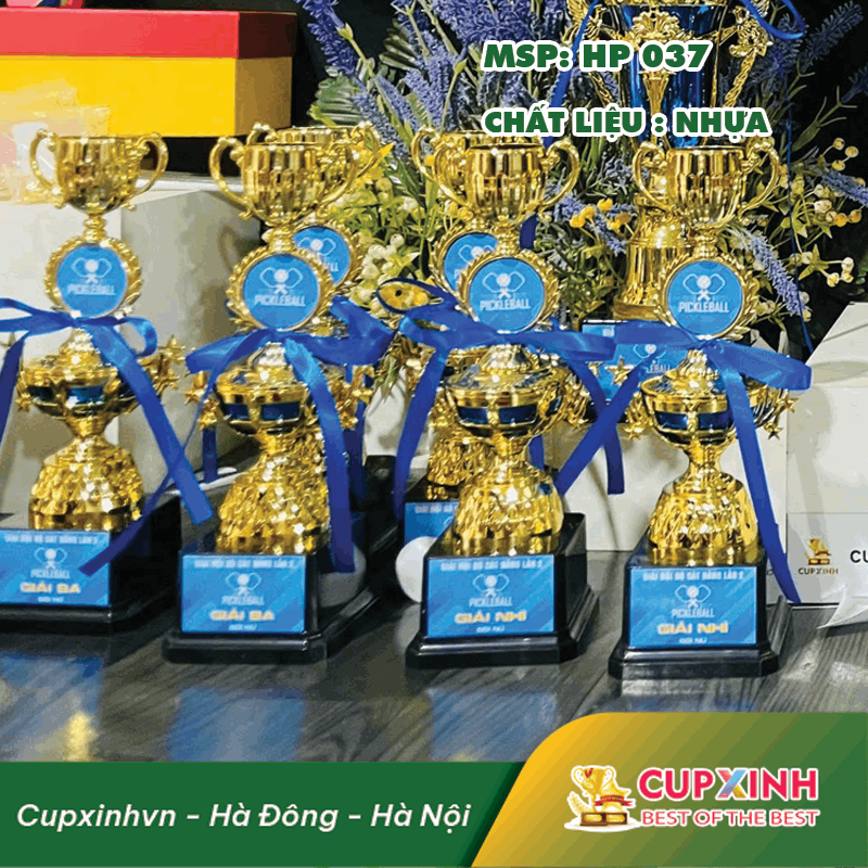 CUP PICKLEBALL NHỰA GIÁ RẺ