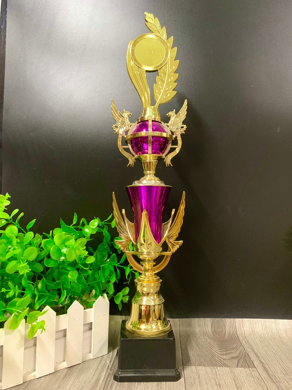 C040 Thẩm Mỹ Quả Đại Bàng Cup Bộ  Đỏ Xanh Trắng Nhựa