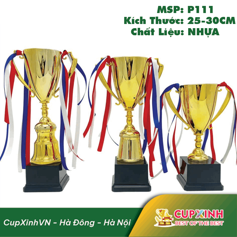 CUP PICKLEBALL NHỰA THẨM MỸ