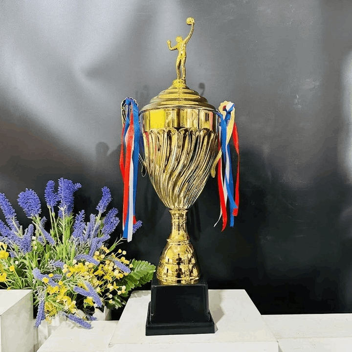 Cup Bóng Chuyền