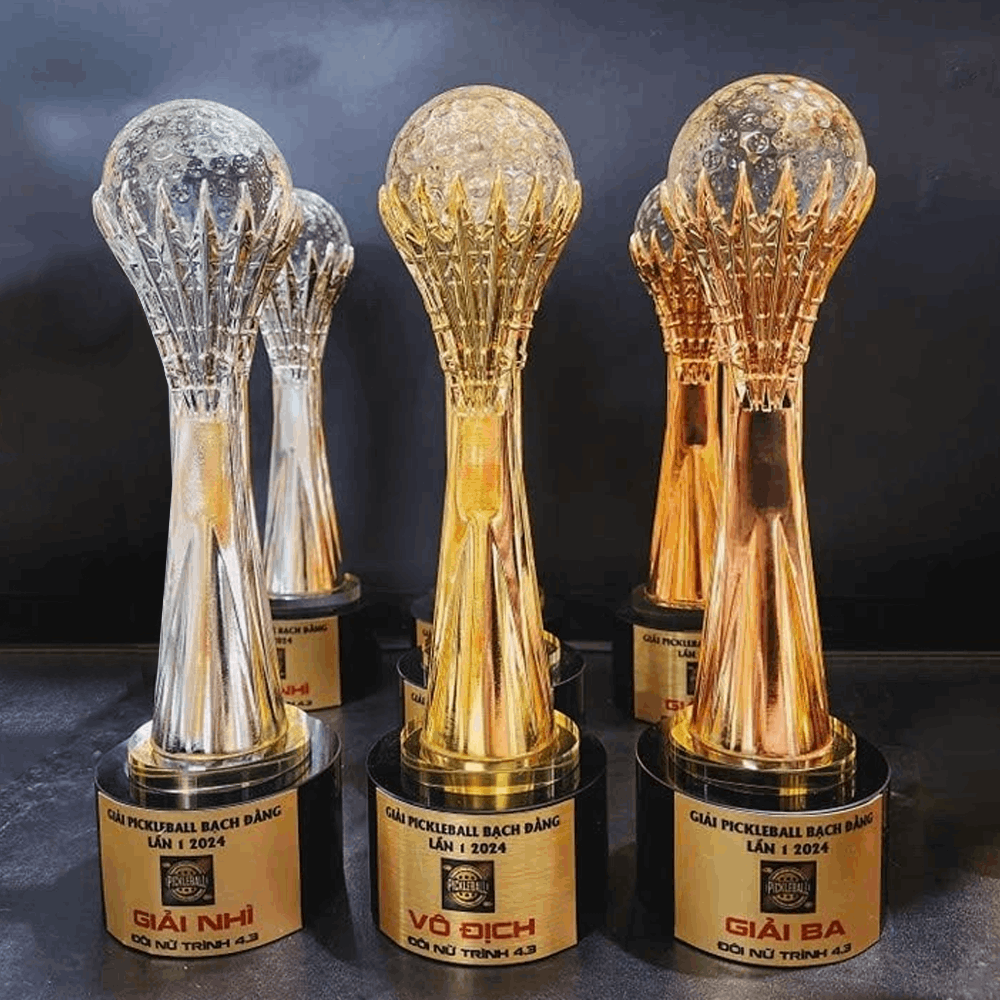 Cup Pickleball