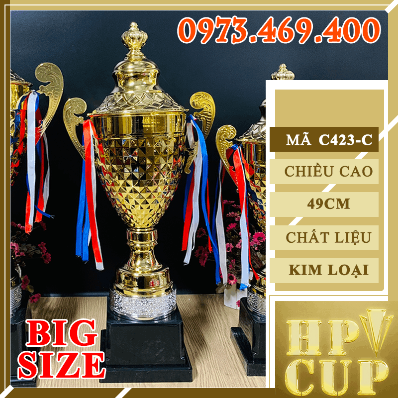 C423 Cup Vân Thoi Size To Cup Bộ Size Lớn Kim Loại