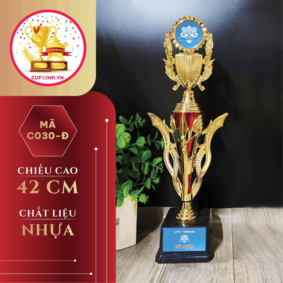 C030 Thẩm Mỹ Rồng Cup Bộ Xanh Đỏ Trắng Nhựa