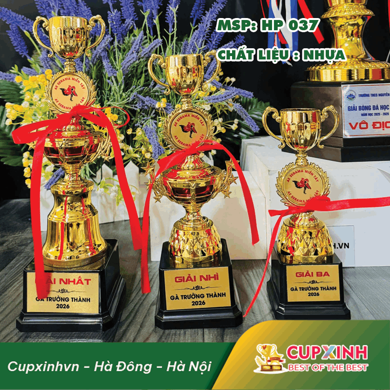 CUP PICKLEBALL NHỰA GIÁ RẺ