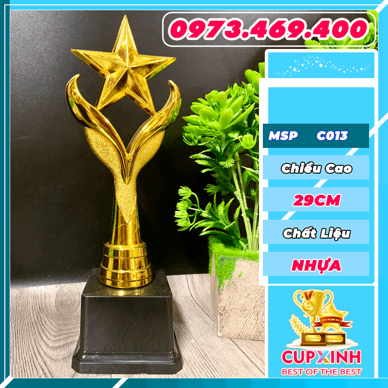 C013 Cup Ngôi Sao Béo Thẩm Mỹ Size Nhỏ Nhựa