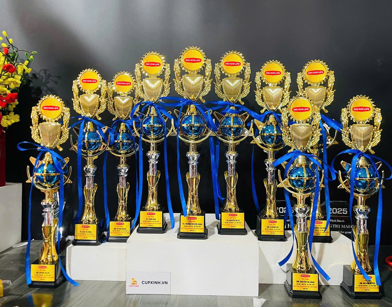 CUP PICKLEBALL NHỰA C064