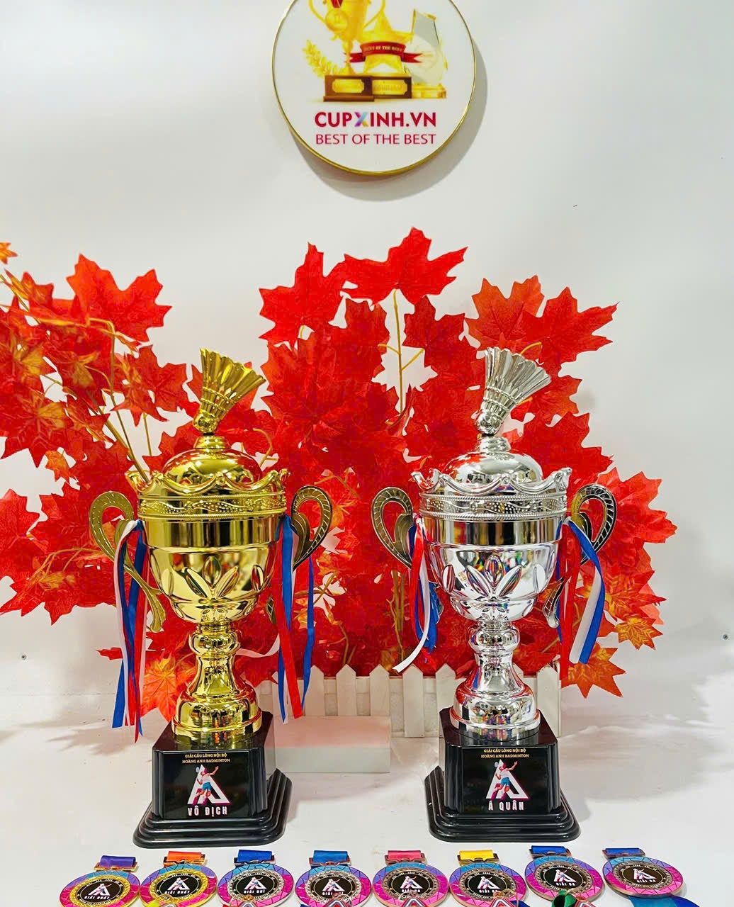 Cup Cầu Lông