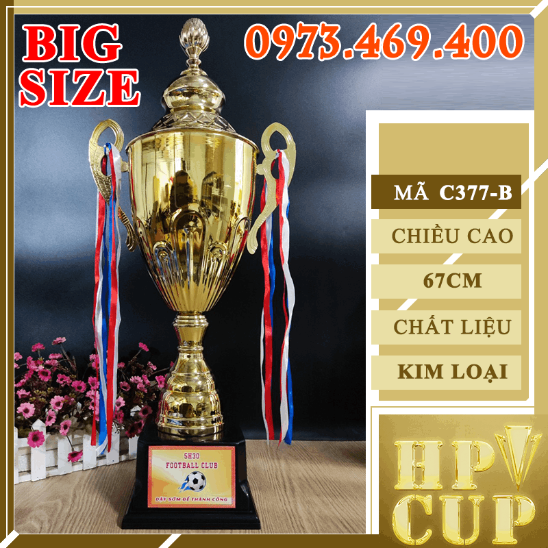 C377 Cup Vân Hoa Đại Cup Bộ Size Lớn Kim Loại